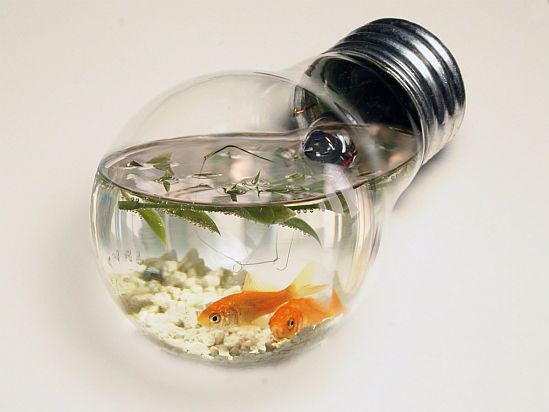 fish-tank-light-bulb.jpg