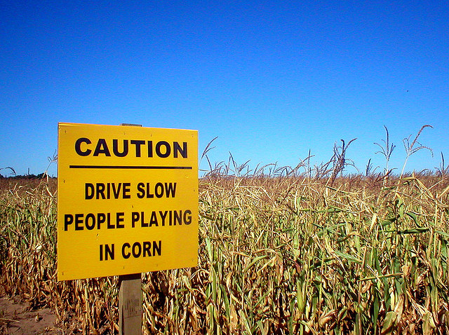 corn-field-funny-road-signs-people-playing.jpg