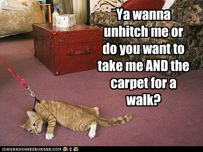 funny-pictures-ultimatums.jpg