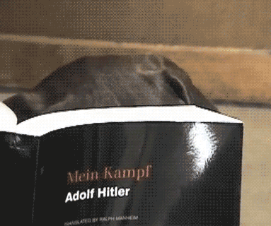 dog-reading-book-mein-kampf-hitler-1387762025T.gif