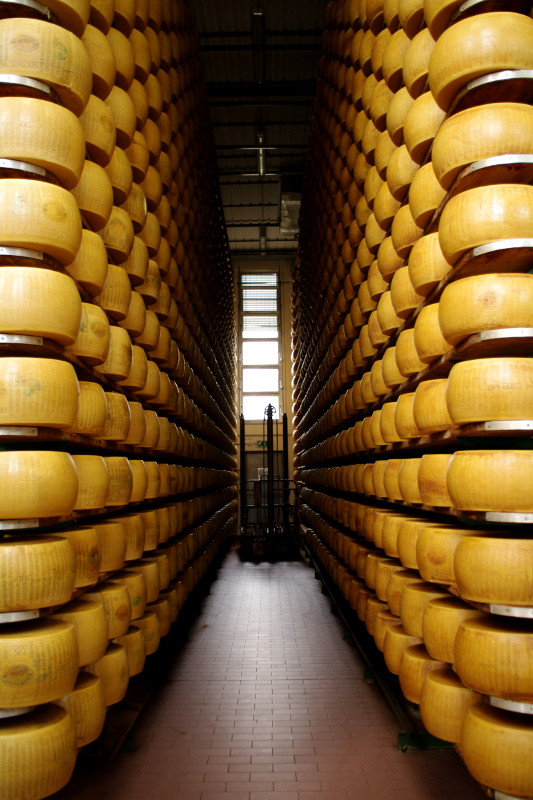 parmigiano-reggiano-cheese-factory-aging-2-big.jpg