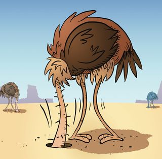ostrich-sand.jpg