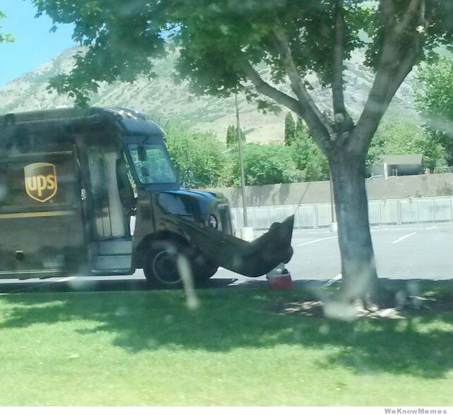ups-guy-knows-how-to-do-lunch-right.jpg