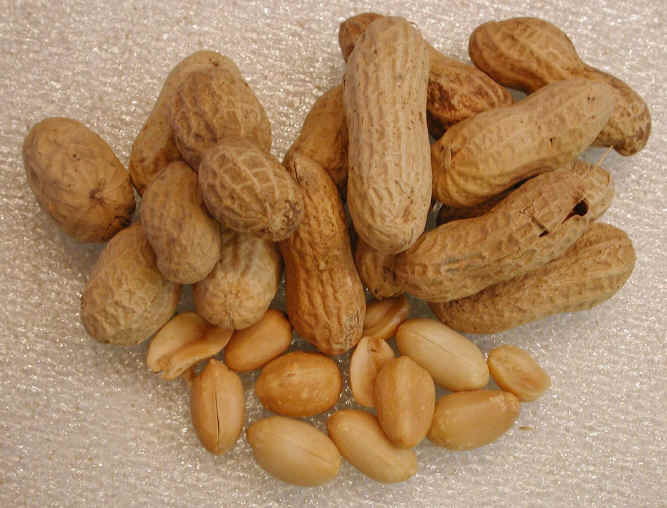 i-peanuts.jpg