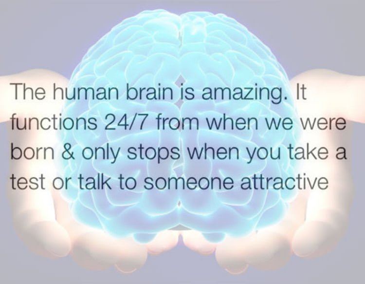 the_human_brain.jpg