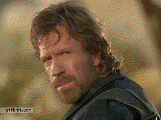 1311875540_delta_force_chuck_norris__deal_with_it.gif
