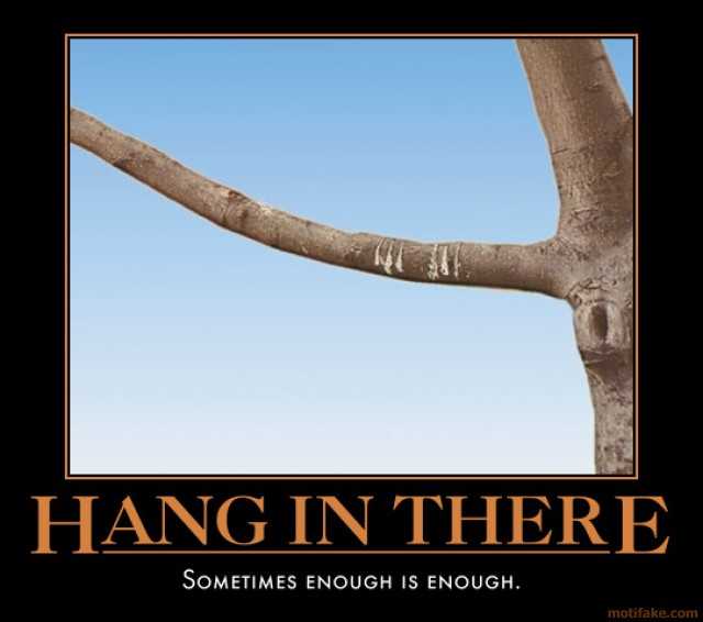 hang-in-there-damn-cat-has-been-around-for-too-long-anyway-demotivational-poster-1245027092.jpg