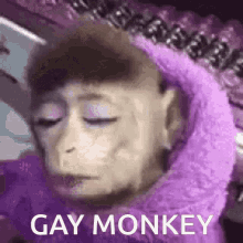 gay-monkey.gif