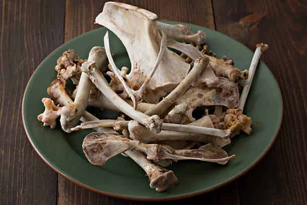 thanksgiving-turkey-bones-picture-id526496237