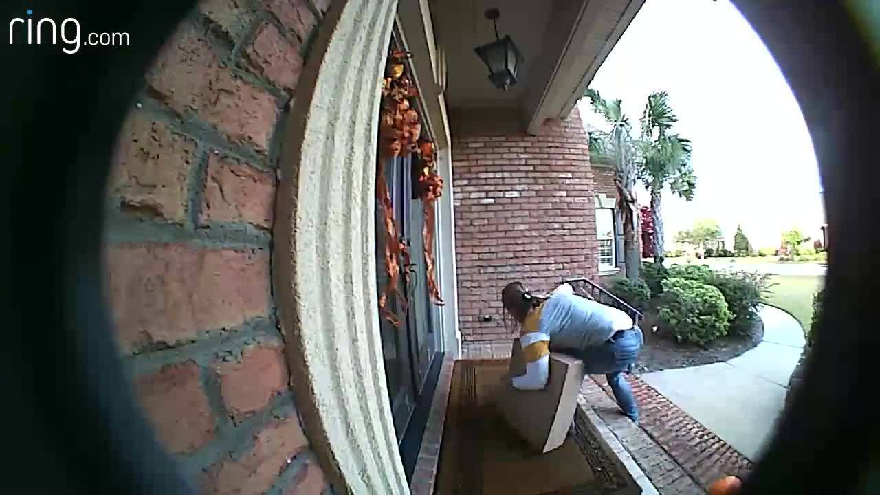 _Porch_Pirate__caught_on_camera_in_Flore_2_63396990_ver1.0_1280_720.jpg