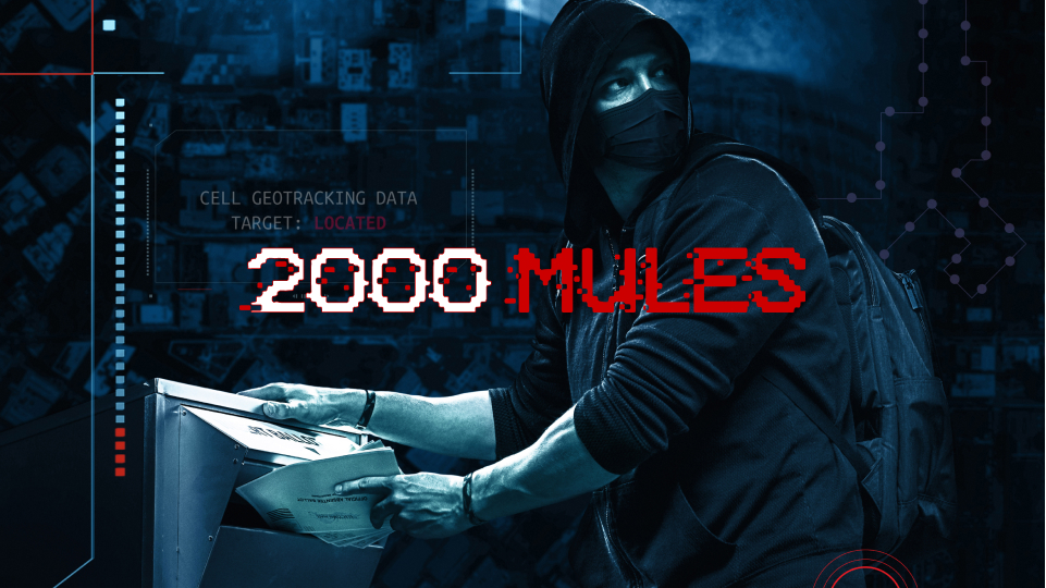 2000mules.com