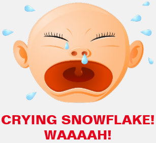 crying_snowflake_baby_on_american_apparel_t_shirt-r3710655deb5848e680100b2c33648cf7_k2gpv_307.jpg