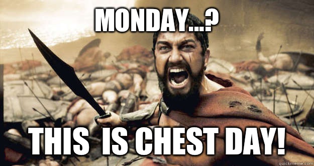 this-is-chest-day-meme.jpg