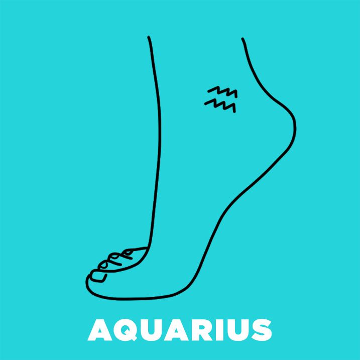 aquarius-illustration.jpg