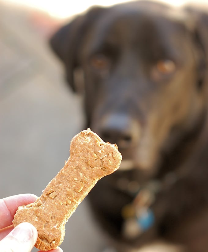 dog-biscuits-11a.jpg